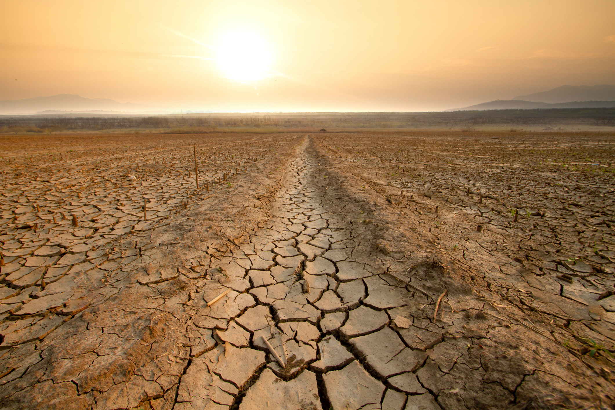 Climate change and the ecosystem: A rising insecurity issue
